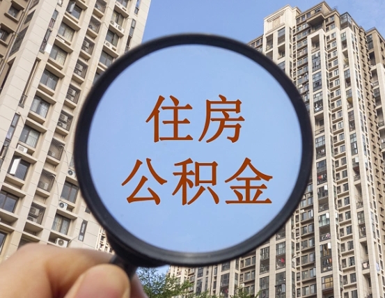 丽江退休后查不到公积金明细了吗（退休后公积金查询不到原因）